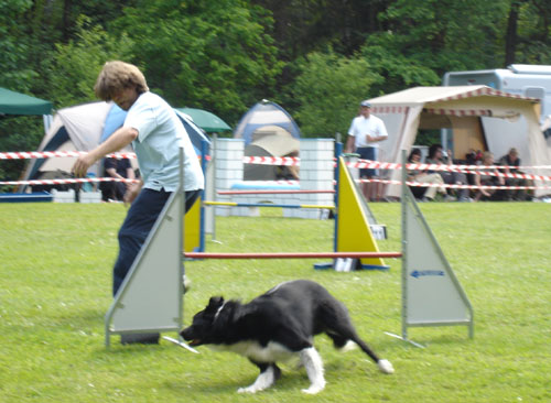 DSC04662 DSC04662