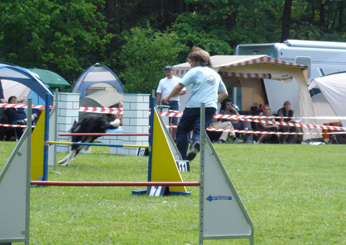 DSC04665 DSC04665