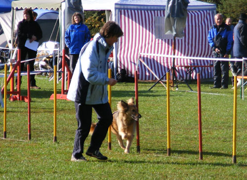 Turnier Schwandorf 2008 016 Turnier Schwandorf 2008 016