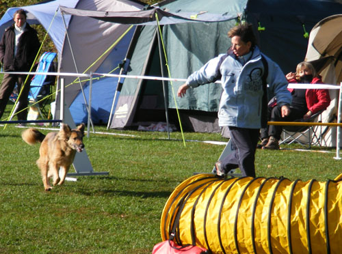 Turnier Schwandorf 2008 017 Turnier Schwandorf 2008 017
