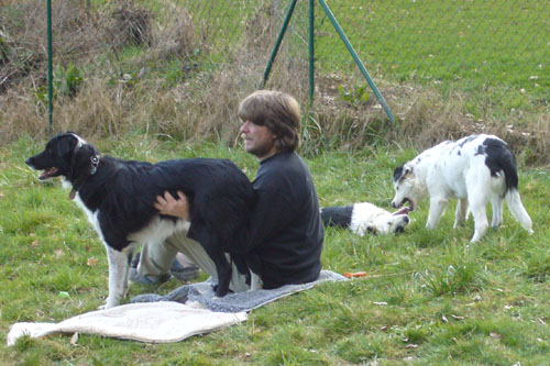 Welpentreff2008a