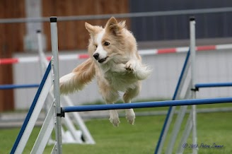 absdorf2012juli2