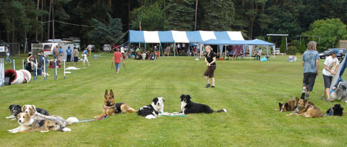 altenst09hunde1