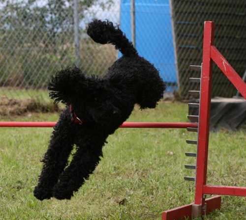 curly_juli2011 curly_juli2011