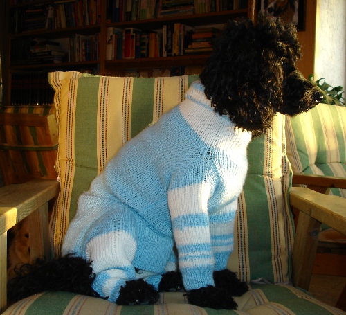 curly_nov2011 curly_nov2011