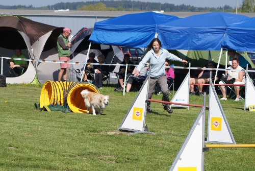 egg2012_125