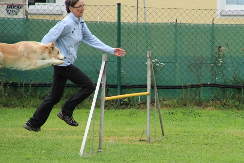 fetz_vdp_sep2012_04