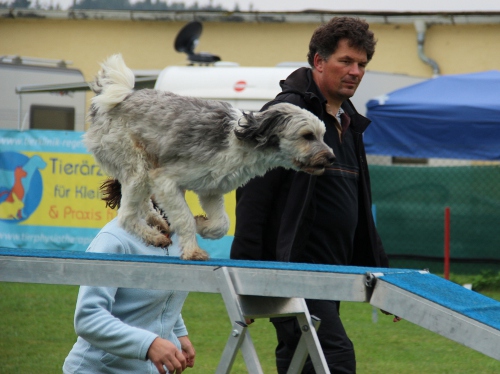 fetz_vdp_sep2012_06