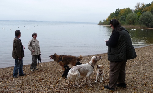 ginger14wochiemsee ginger14wochiemsee