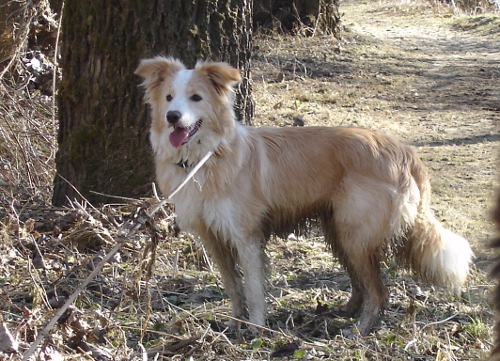 ginger7monwindorf