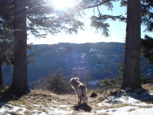 ginger_dez2011