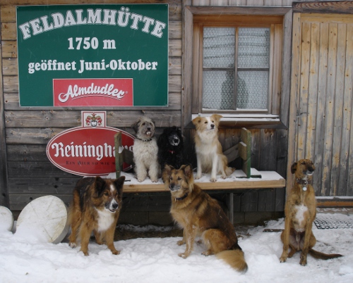 hu_feldalmhuette