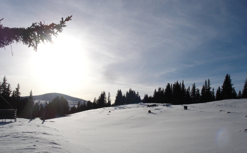 hu_zohrerkogl