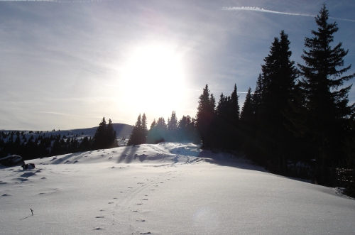 hu_zohrerkogl2