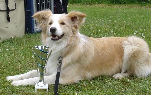 lechfeld mai 2012