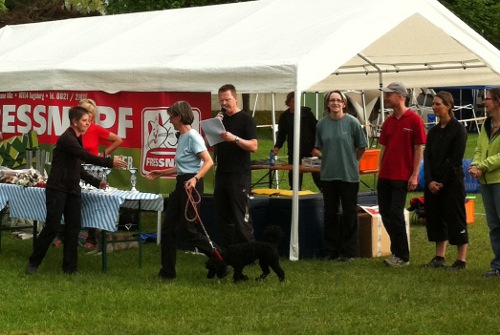 lechfeld mai 2012d