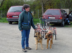 sacco2007a