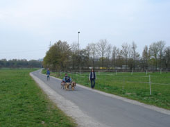 sacco2007d