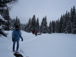 schneeschuh108
