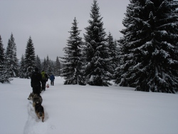 schneeschuh111
