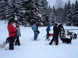 schneeschuh122