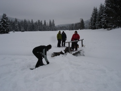 schneeschuh131