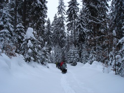 schneeschuh144