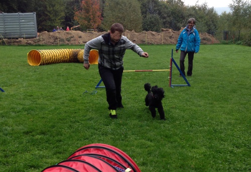 schule169