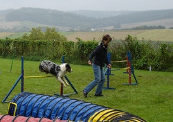 sina2008batida