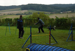 sina2008curly
