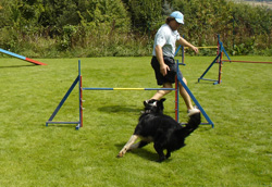 sina2008lucky