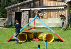sina2008yorka
