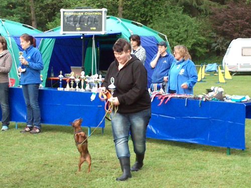 teublitz2013e teublitz2013e