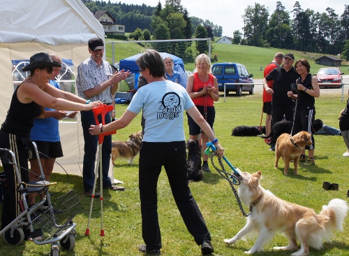 vilsb2013c