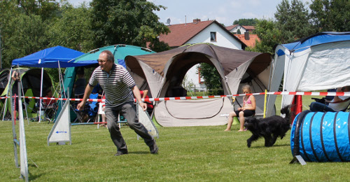 vilsb2013d
