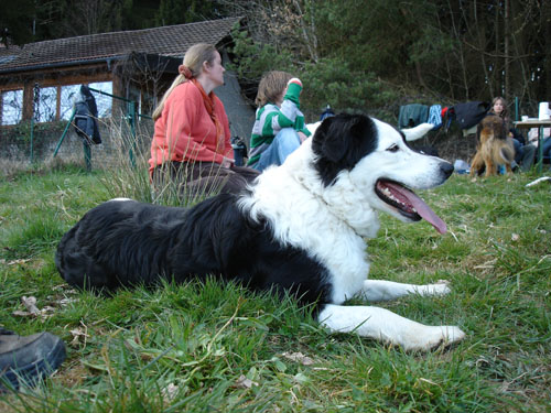 welpentreff2008c