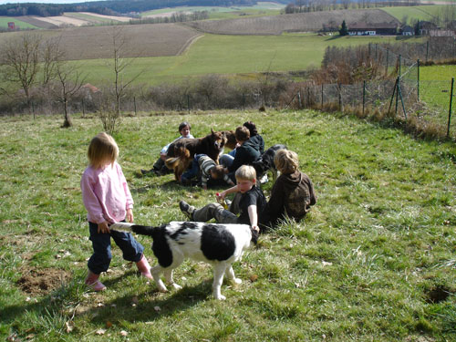 welpentreff2008i